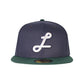 Navy Green Pretzel Fitted